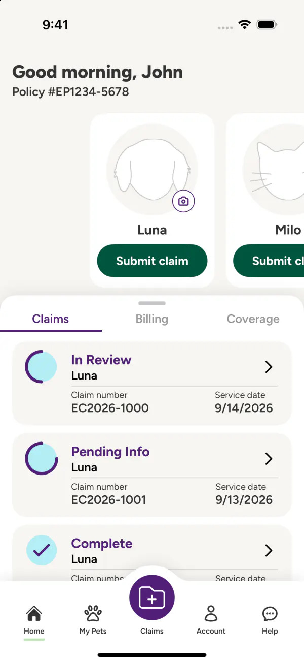 Original Embrace home screen on iOS 18